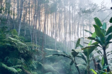 天上下雨地上流，告别雨季出行难题